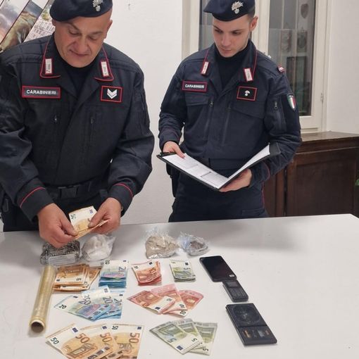 Ancora droga nei boschi del Varesotto: arrestato un pusher a Gorla Minore e sequestrati 700 grammi di stupefacenti