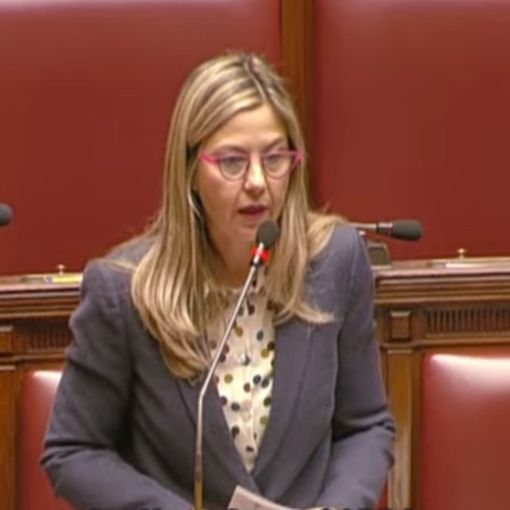 Ddl Made in Italy, Gadda: «Disorganico e fa sorridere che i sovranisti facciano come in ex Urss»