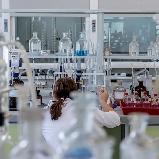 Il no al cibo in provetta si alza anche dalla provincia di Varese: contrari 7 cittadini su 10