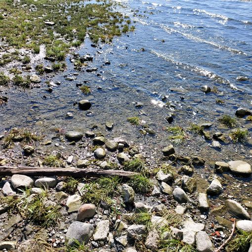 L'allarme di Coldiretti sulla siccità: «Lombardia a secco, mancano 2 miliardi di metri cubi d'acqua»