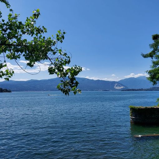 Un bellissimo scorcio del lago Maggiore dal Parco delle Torrazze a Laveno