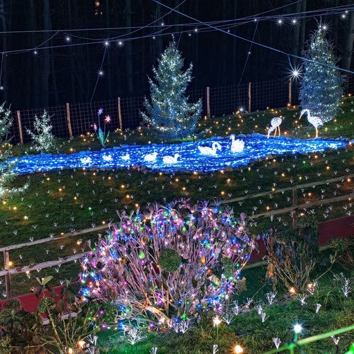 Un antipasto di foto delle passate edizioni delle lucine di Natale di Leggiuno in attesa dell'accensione del 3 dicembre