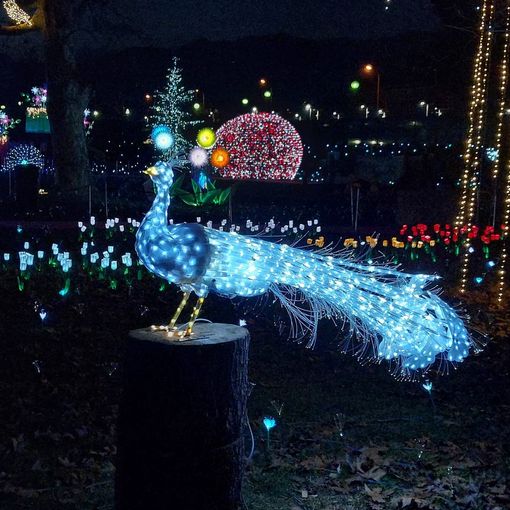 Le lucine di Laveno &quot;illuminano&quot; tutta la città e fanno sognare gli innamorati