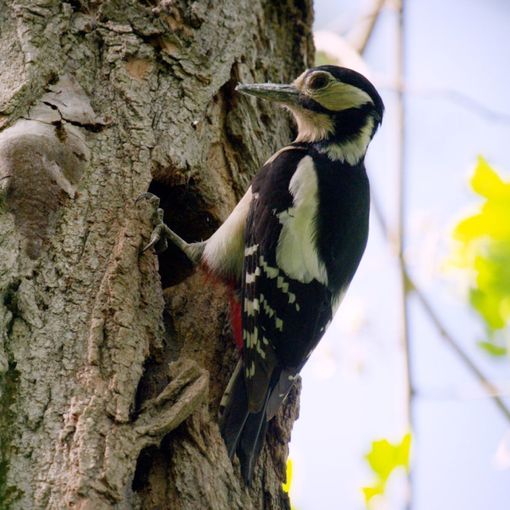 “Il valore della natura”: scienza, politica e società civile a confronto