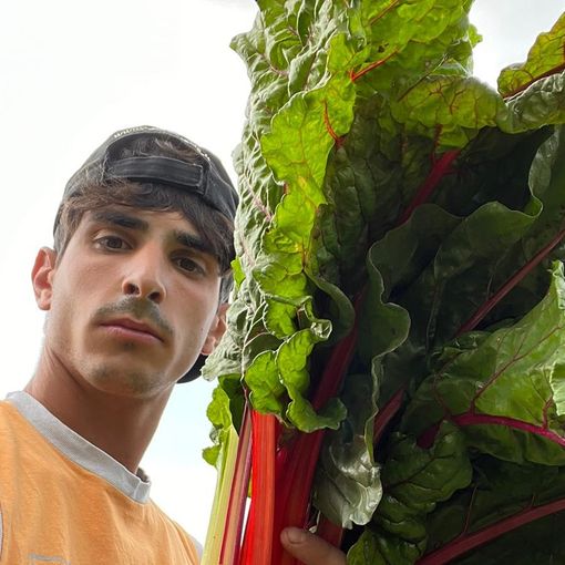 Lorenzo Zanardini fondatore e titolare dell'azienda agricolo Lo Stelo di Monvalle