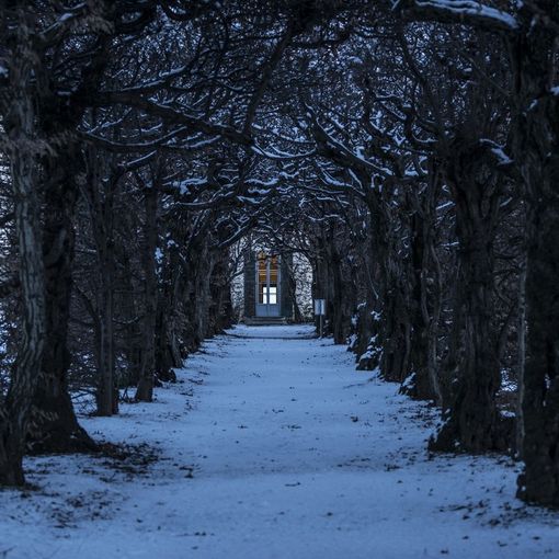 Natale nei beni del Fai di Varese e Provincia