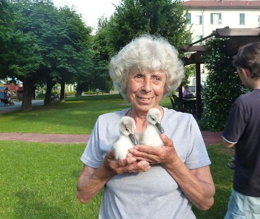 Germignaga dice addio a Olga, la “Signora dei cigni”