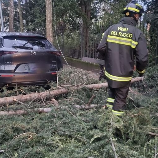 Vento forte e rischio idrogeologico: sul Varesotto resta l'allerta gialla fino a mezzanotte