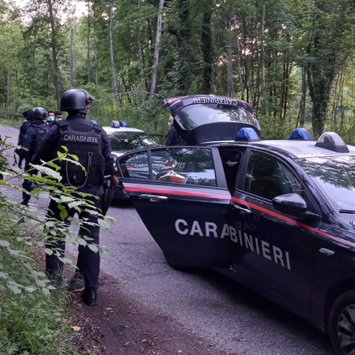 Patto tra Varese e Como contro lo spaccio nei boschi