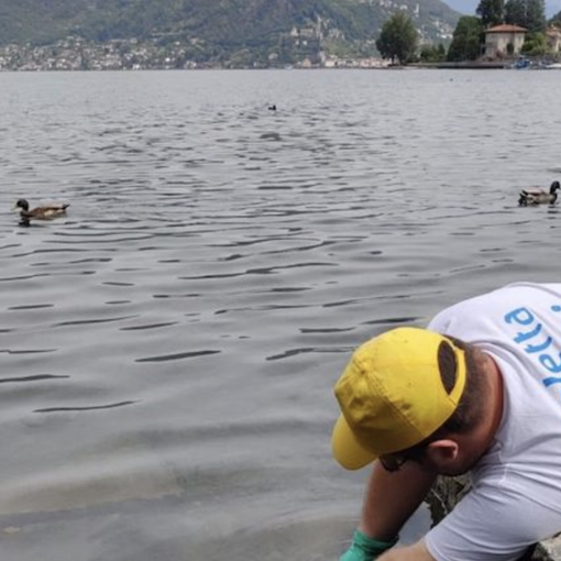 “Goletta dei Laghi”, lago Ceresio: solo uno dei quattro punti campionati risulta inquinato