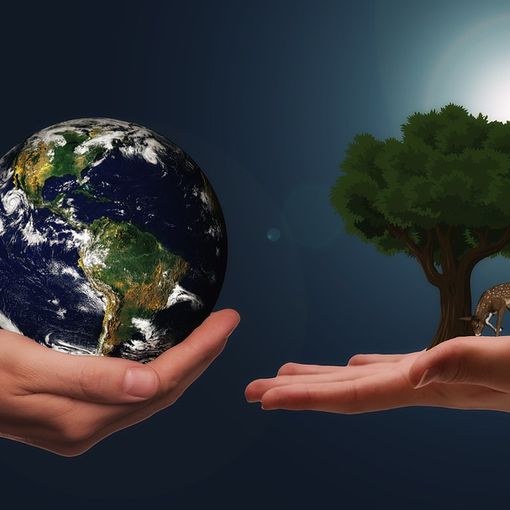 Dalla sostenibilità ambientale allo sviluppo digitale: le opportunità per le imprese