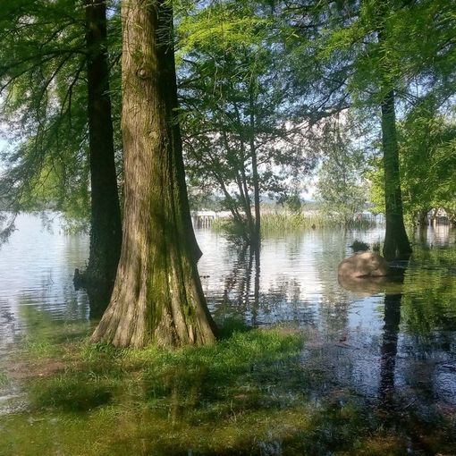 Gli effetti dell'esondazione del lago di Varese alla Schiranna