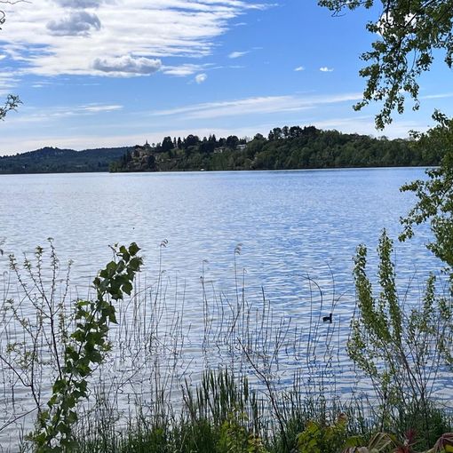 Tornano sole e temperature miti sul Varesotto. Ma dal Primo Maggio riaprite gli ombrelli