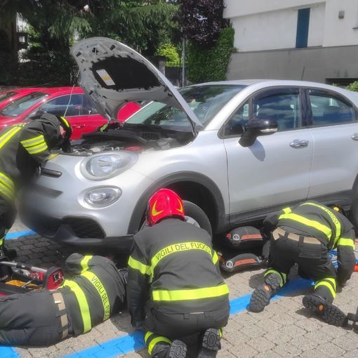 Sesto Calende, gattino incastrato nel motore dell'auto. Per liberarlo servono i vigili del fuoco