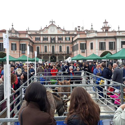 Torna AgriVarese con tante novità: l'edizione 2022 sarà in riva al lago Maggiore