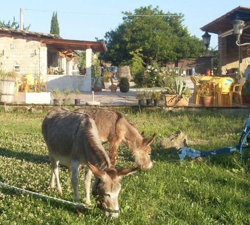 Pasqua, nel Varesotto agriturismi pronti all’accoglienza con pranzi e alloggi nel verde