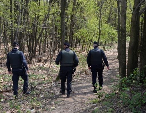 Blitz dei carabinieri a Mondonico, in manette un piccolo boss dello spaccio nei boschi della Valganna