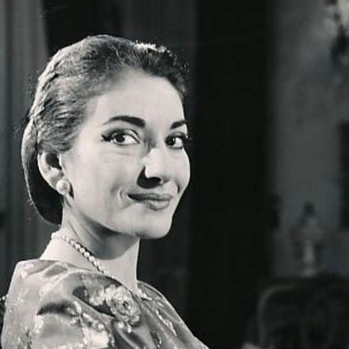 Proposta d'artista: «Berlusconi? Intitolate Malpensa a Maria Callas»