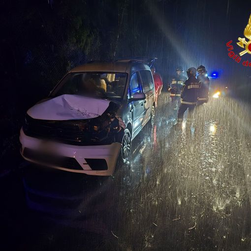 Maltempo: pianta cade su un'auto in transito sulla statale 394, paura per i tre occupanti