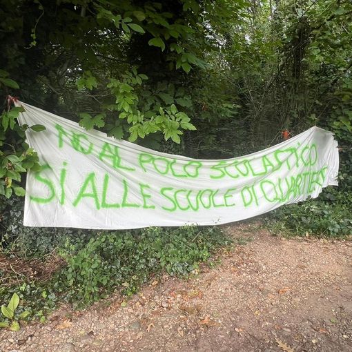 FOTO. Gli attivisti del comitato &quot;Salviamo gli alberi di Gallarate&quot; bloccano i lavori del polo scolastico