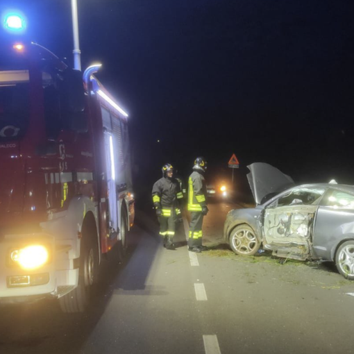 Il maltempo presenta il conto: nel Varesotto 230 interventi di soccorso. Centinaia di alberi caduti e 20 persone soccorse