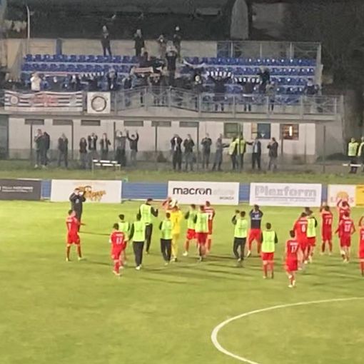 «Ancora 10 giornate e ci qualificavamo per il Qatar». Pro Patria, la sorpresa che (non) ti aspetti