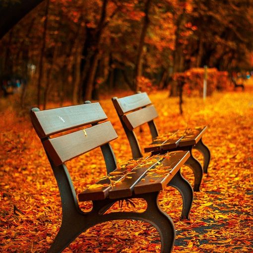 L’autunno: alla fine dell'estate, i nuovi inizi abbondano (più del tappeto di foliage)