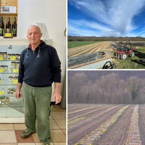Antonella e Giacomo nel punto vendita della loro azienda agricola; i loro campi coltivati; il libro &quot;Cento di questi asparagi&quot;