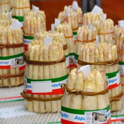 Scatta stasera la Fiera dell’Asparago di Cantello: il programma completo dell’ottantaduesima edizione