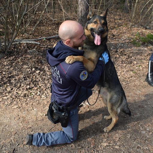 Blitz anti droga al Parco Pineta: il cane poliziotto Radau scopre l'hashish nascosto sotto terra