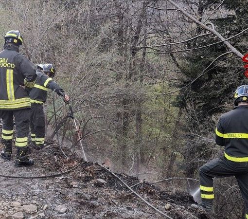 Turista milanese provoca un incendio in un bosco nel Vco: denunciato
