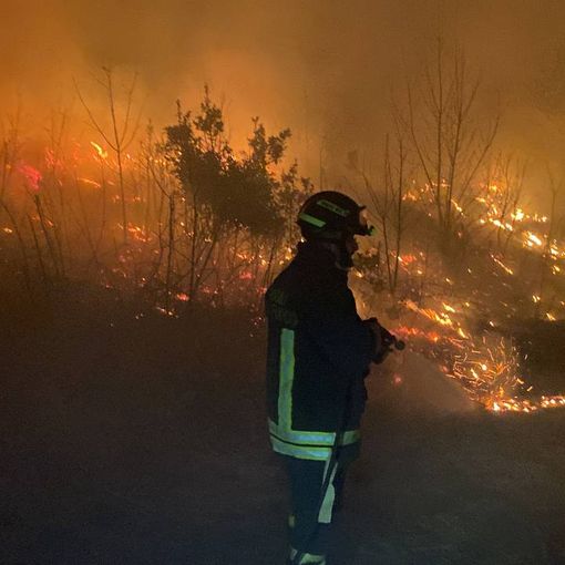 Domato l'incendio di Montegrino, in fumo sono andati cento ettari di bosco