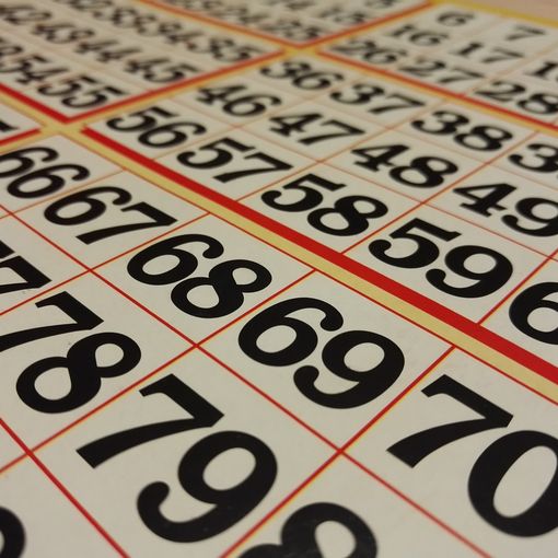 Impara a giocare a bingo online