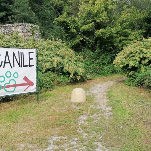 Canile, deserto il bando per il nuovo rifugio. Lega del Cane: «Non era sostenibile»