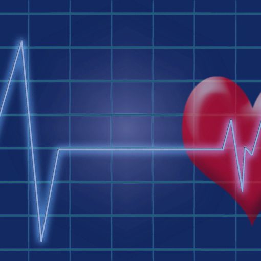 L'ospedale cerca tre cardiologi (ma anche ingegneri e tecnici elettronici)