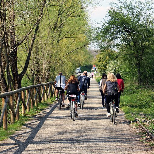 La ciclopedonale Castellanza-Castiglione Olona diventa &quot;luogo delle meraviglie&quot;