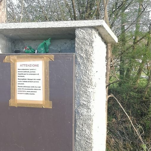Pista ciclabile di Capolago, agricoltori sul piede di guerra: «Portare rispetto per la campagna»