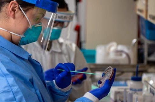 Scoperto a Lodi il primo caso di Dengue in Lombardia