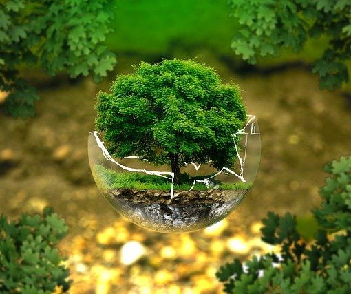 Design ed ecologia? Bello senza spreco