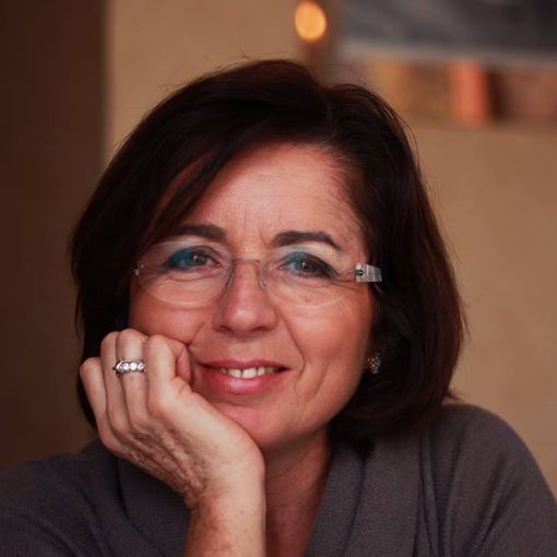 Palaghiaccio, associazioni in consiglio comunale: «Non c'è stata alcuna bocciatura»
