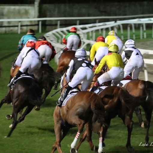 Divertimento e passione, sabato al fresco all'ippodromo: analisi, favoriti e partenti