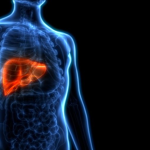 Epatocarcinoma: gli esperti varesini riuniti in congresso