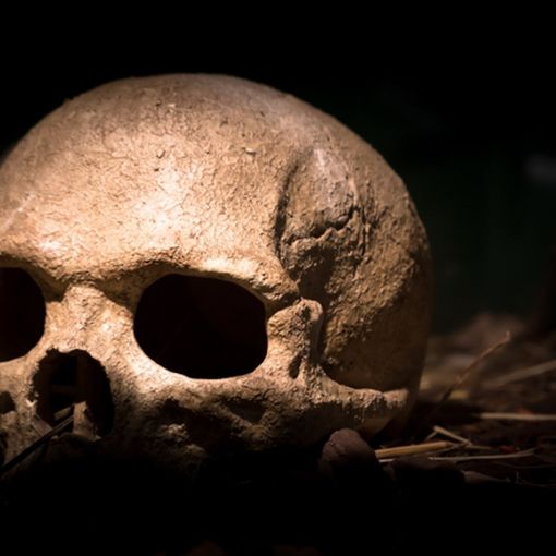 Escape Room Horror, quando la paura diventa realtà