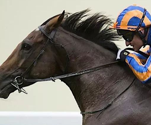 Dettori, Tomasini, Gonnelli e Grizzetti fanno le carte al clou di stasera all'ippodromo