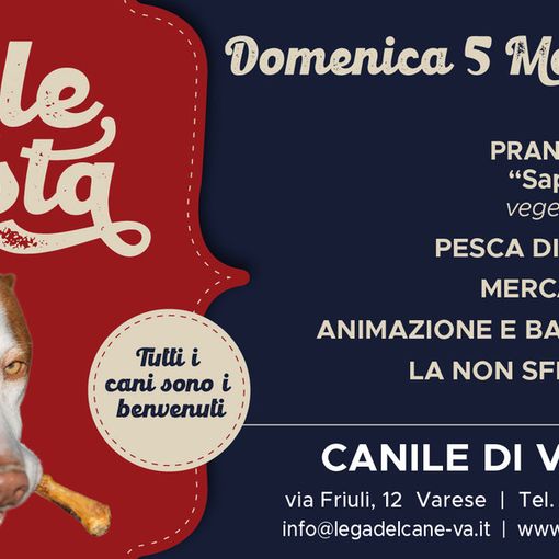 Al canile di Varese una domenica di festa, buon cibo e tanto amore per gli amici pelosi