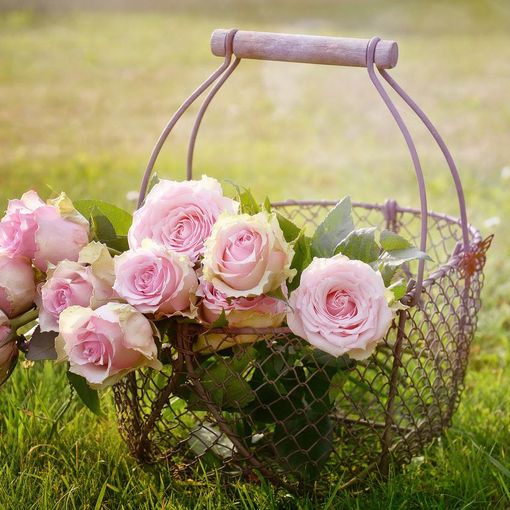 Fioriere da giardino: la guida completa all’acquisto