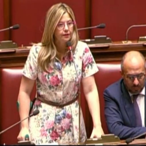 Terzo settore, Gadda (Iv): «Rimuovere tetto a 5 per mille»