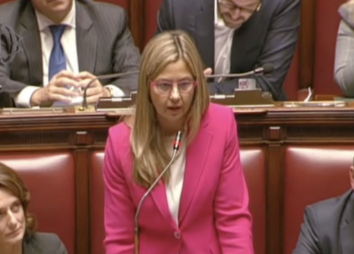 Problemi al Sian, Gadda chiede spiegazioni: «Il Governo indebolisce le filiere vitivinicole»
