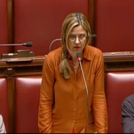 Attanasio e Iacovacci, Gadda: «Governo consenta svolgimento processo»