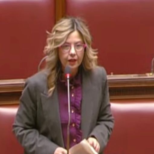 Peste suina, Gadda: «Da Governo risposta da burocrati»